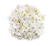 Rikyo 100 Artificial Silk Cherry Blossom Flowers Heads Picks,2" Daisy Heads Artificial Flowers for Wedding Party Shoes Hats Wreath,Bulk Mini Flowers for Crafts Faux Flowers Heads (Milk White)