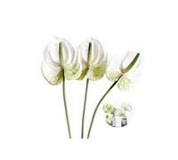 Rikyo 26" Artificial Anthurium Lily Flowers Permanent Flowers, 3pcs Tropical Imitation Plant Bouquets for Table Centerpieces Arrangement and Bridal Wedding Festival Decor(White)