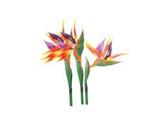Rikyo 3 Pcs Large Bird of Paradise 29" Permanent Flower,Strelitzia Imitating Tropical Plants,Flower Part is Made of Soft Rubber PU,Artificial Flower Plants for Home Office,Flower Stem 0.3" (Orange)