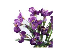 Rikyo 3pcs Artificial Iris Flower Silk Flower 9 Heads,Long Stems Fake Flowers for Real Looking Bouquet,Party and Wedding Holding Flowers,Dining Table Centerpieces -36inch(Purple)