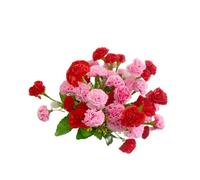 Rikyo 4 Bunches Artificial Silk Flower Carnations,14 inch Bouquet and Green Leaf for Home Party,Bridal Wedding Holding Flowers Festival Decoration with 12 Per Bunch Flower (Pink+Red)