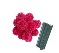 Rikyo 50 Artificial Silk Carnation Flower Head with Stems Set,Vase Fillers for Home Decor Bridal Wedding Party Birthday Cake Ornaments, Wrist Corsage,3" Multiple Petals Heads (Rose Red)