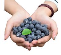 Rikyo 50 Blueberries Artificial Fruits, Realistic Lifelike Blue Foam Fruits, Kitchen Decor, 2cm, 50 Count