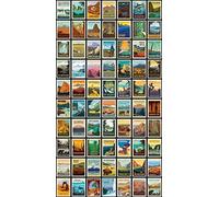 Riley Blake National Parks Posters Panel 46”x43”(2 Panels) with Black Borders, Quilting, Apparel and Home Decor Fabric