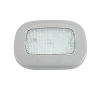 Riloer Car Interior Light, LED Ceiling Roof Lamp, Reading Light for Motorhome Caravan Camper RV Trailer Truck with Magnetic, USB Charging