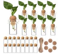 RimCereal 24 Pack 3.54'' Plant Propagation Stations 4 oz Glass Propagation Jars Planter Hydroponic Vase with Mushroom Hole Lid and Thank You Tags for Plant Lovers Office Home Garden