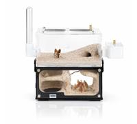 Rimsunta Ant Farm for Adults Study of Ant Behavior Ant Nest ant Terrarium Educational Formicarium for Live Ants and Queen,Cave Style Landscapes