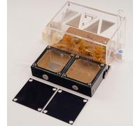 RIMSUNTA Ant Farm for Live Ants - Naturalistic Landscape Formicarium with Terrarium Style Display, Decorative Ant Habitat for Observation