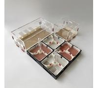 Rimsunta Ant Farm Habitat Clear Acrylic Observation Terrarium Nest with Activity Chamber for Beginner Ant Keepers