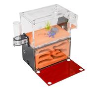 Rimsunta Ant Farm House for Adults - Two Floor Formicarium for Live Ants and Queen - Educational Terrarium for Study of Ant Behavior