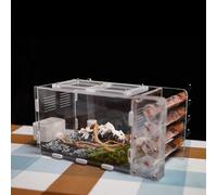 Rimsunta Ant Nest for Live Ants - for Small Ant Clony - Natural Learning Toy - -Great Outworld, White