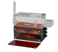 RIMSUNTA Lumen Series - Chamber Ant Farm with Built-in LED Lighting, Compact Formicarium Habitat for Live Ants, Small Colony Ant Nest for Observation