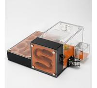 RIMSUNTA Terra Core Series - Hybrid Ant Farm for Live Ants, Large Colony Formicarium Habitat with Humidity System & Outworld, Modular Acrylic Ant Nest for Observation