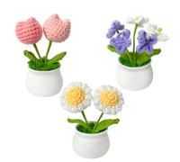 Rimvoe 3pcs Crochet Flower Pot, Daisy Tulips and Forget Me Not Small Potted Flowers, Gifts for Mom Wife on Mothers Day Valentines, Cute Desk Decor for Women Office Car Dashboard