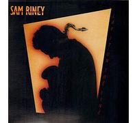 Riney,Sam - Lay It on the Line [Vinyl LP] [VINYL]