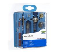 Ring Automotive BU054 Universal Bulb Kit,Yellow