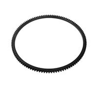 Ring Gear, flywheel DT Spare Parts 7.54016