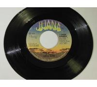 RING MY BELL 7" (45) BELGIAN JUANA 1979 B/W IF I COULD FEEL THAT OLD FEELING AGAIN ISSUED WITH US DISC (3422) PIC SLEEVE