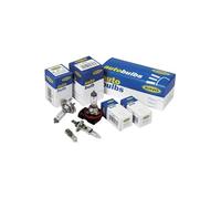 Ring P21/5W Cap BAY15d 12V 21/5W ER381 Qty 10