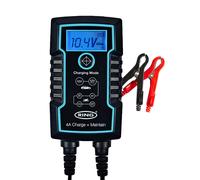 Ring RSC806 6A Smart Charger and Battery Maintainer