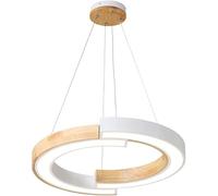 Ring Wrought Iron Pendant Light with Acrylic Lampshade Hanging Light Rubber Decorative Lighting Fixture, Modern Minimalist Log Suspension Lighting,Contemporary Dining Room