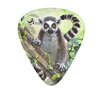 Ringtailed Lemur Guitar Picks 12 Pack Set Guitar Gift for Bass Picks Acoustic Guitars Plectrums with Clear Storage Box