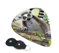 Ringtailed Lemur Guitar Plectrums, 6 Guitar Plectrums, Printed on both sides for Electric Guitar Bass Ukulele (0.46 mm 0.71 mm 0.96 mm)