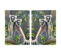 Ringtailed Lemur Passport Holder Personalized Passport Wallet for Women Men Travel Document Organizer Holder