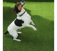 Rio 30mm Artificial Grass, Plush Artificial Grass, Pet-Friendly Artificial Grass, Premium Grass-12M(39'4") X 4M(13'1")-48M²