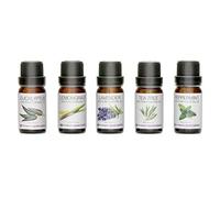 Rio Aromatherapy Essential Oils Gift Set - 5 x 10ml 100% Pure Oils (Lavender, Peppermint, Tea Tree, Lemon, Eucalyptus) for Diffusers, Humidifiers, Massage, Spa, Relaxation & Home Fragrance
