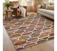 Rio Modern Living Room Shaggy Area Rug Geometric Abstract Rug Multi Colour Rugs - Trellis 120 X 170 Cm (Rectangular)