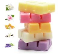 Scented Soy Wax Melts - Pack of 5 Fragrances RIO Multi One Size