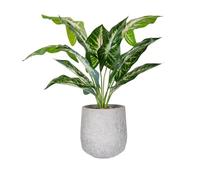 RIOFOGO Artificial Plant, Artificial Plants Decoration in Pot, Artificial Plants Plastic for Bedroom, Bathroom, Kitchen, Home, Indoor Decoration, Living Room Accessories