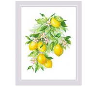 Riolis Counted Cross Stitch Kit 11.75"X15.75"-Bright Lemons (14 Count)