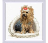 Riolis counted cross stitch kit "Yorkshire Terrier", 25x25cm, DIY