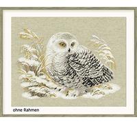 Riolis Cross Stitch Kit - 1241 - White Owl