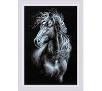 RIOLIS Cross Stitch Kit - 1494 - Breeze Through Mane