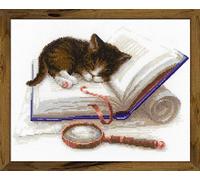 RIOLIS Cross Stitch Kit - 1725 - Kitten on a Book