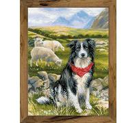 RIOLIS Cross Stitch Kit - 1767 - Border Collie