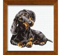 RIOLIS Cross Stitch Kit - 906 - Dachshund