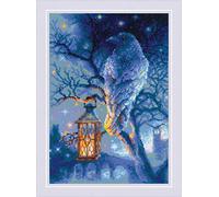 Riolis Wise Raven Cross Stitch Kit, Multicoloured, 21 x 30cm