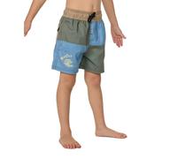 Rip Curl Block Volley Swimming Shorts