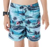Rip Curl Dreamers Volley Swimming Shorts Blue 14 Years Boy