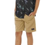 Rip Curl Epic Volley 2.0 Shorts Beige 10 Years Boy