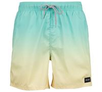 Rip Curl - Offset Fade Volley - Swim brief size S, multi