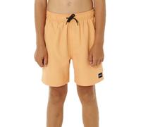 Rip Curl Offset Volley Swimming Shorts