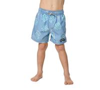Rip Curl Ride The Wave Volley Swimming Shorts