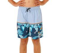 Rip Curl Streamline Stripe Volley Swimming Shorts