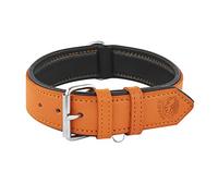Riparo Genuine Leather Padded Dog Heavy Duty Adjustable Collar (L: 3.8CM Wide for 45.7CM - 53.3CM Neck, Orange)