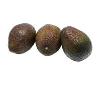 Ripe and Ready Avocado (PACK OF 12)